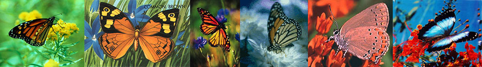 The pictures to take samples from